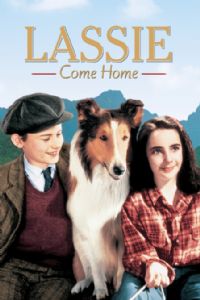 ��Ȯ����