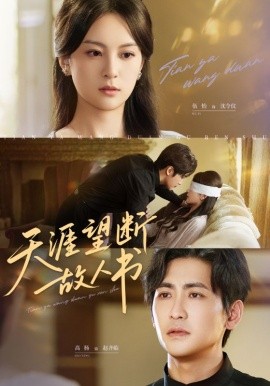 �������Ϲ�����