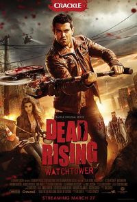 ɥʬΧ�ǣ��t����