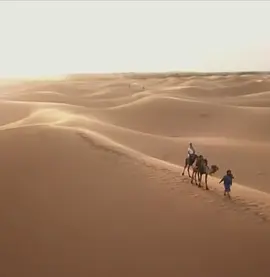 ����Ħ���