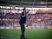 ������� ��������VSά���� 20241110