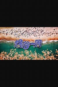 ����һ��3����