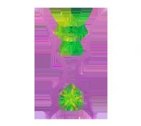 �������ޱ� ������vs�����20250807