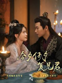 ��Ϧ��Ϧ������