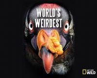 ���ι��� ��һ��