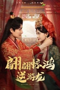 ���澪��������