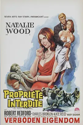 ���ű��������