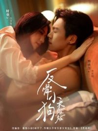 ����С��������