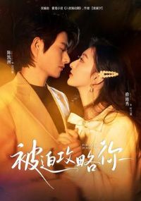 ���ȹ�����