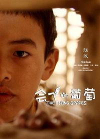 ��ɵ�����