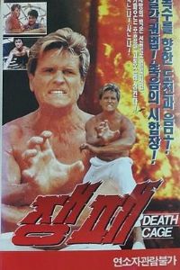 ����Ӣ��